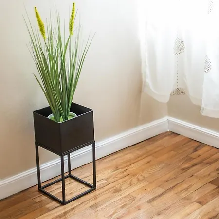 公寓 Blue тerrace Center