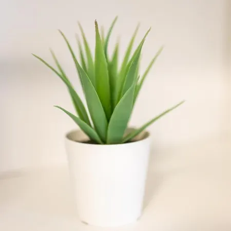 Blue тerrace Center 公寓 瓦爾納