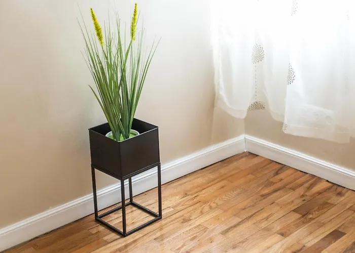 Apartment Blue тerrace Center