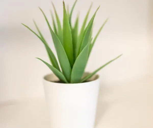 Blue тerrace Center Apartment Varna